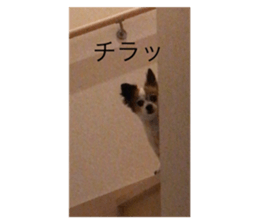 602049374