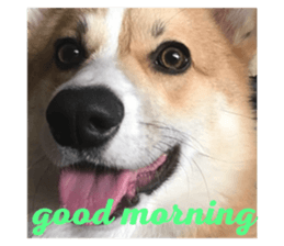 60205492
