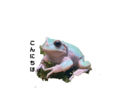 602072232