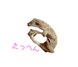 602072235