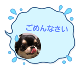602094054