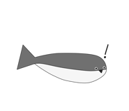 602102775