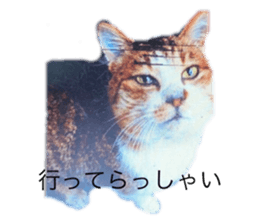 602112133