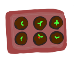 602113234