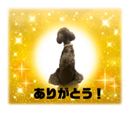 602113796