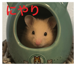 602121984