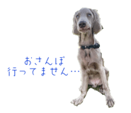 602137050