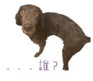 602137057
