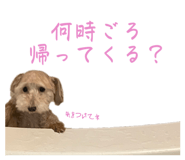 602137080