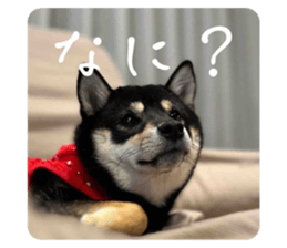 602137824