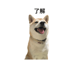 602144638
