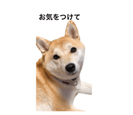 602144642