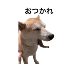 602144643