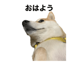 602144645