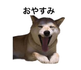 602144646