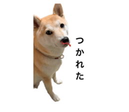 602144650