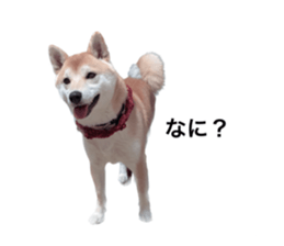 602144652