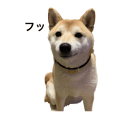602144654