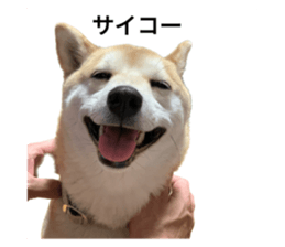 602144655