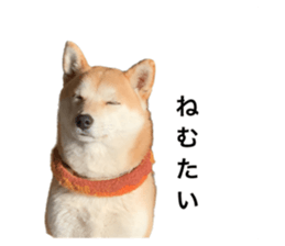 602144656
