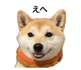 602144657