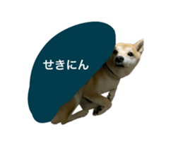 602144660