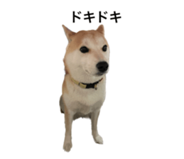 602144661