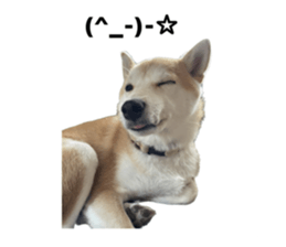 602144662