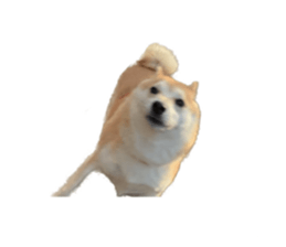 602144664