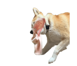 602144665