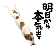 602149295