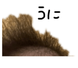 602150919