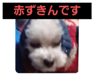 602151072