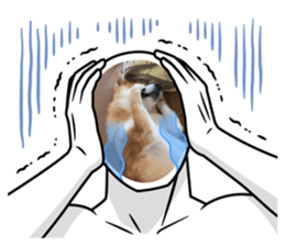 602151234