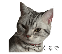 602209128
