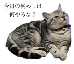 602209139