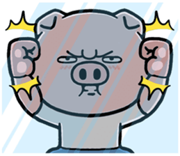 602226900