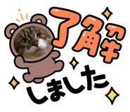 602291801