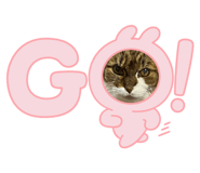 602291806