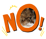 602291818