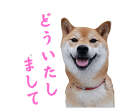 602300701