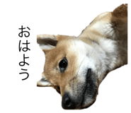 602301590