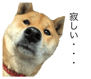 602301597