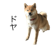 602301600