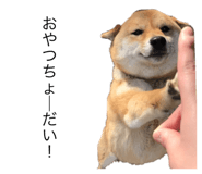 602301603