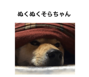 602301605