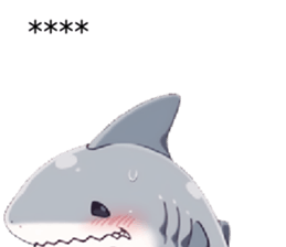 602355567
