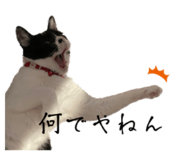 602373197