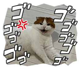 602399120
