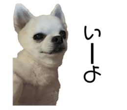 602407966